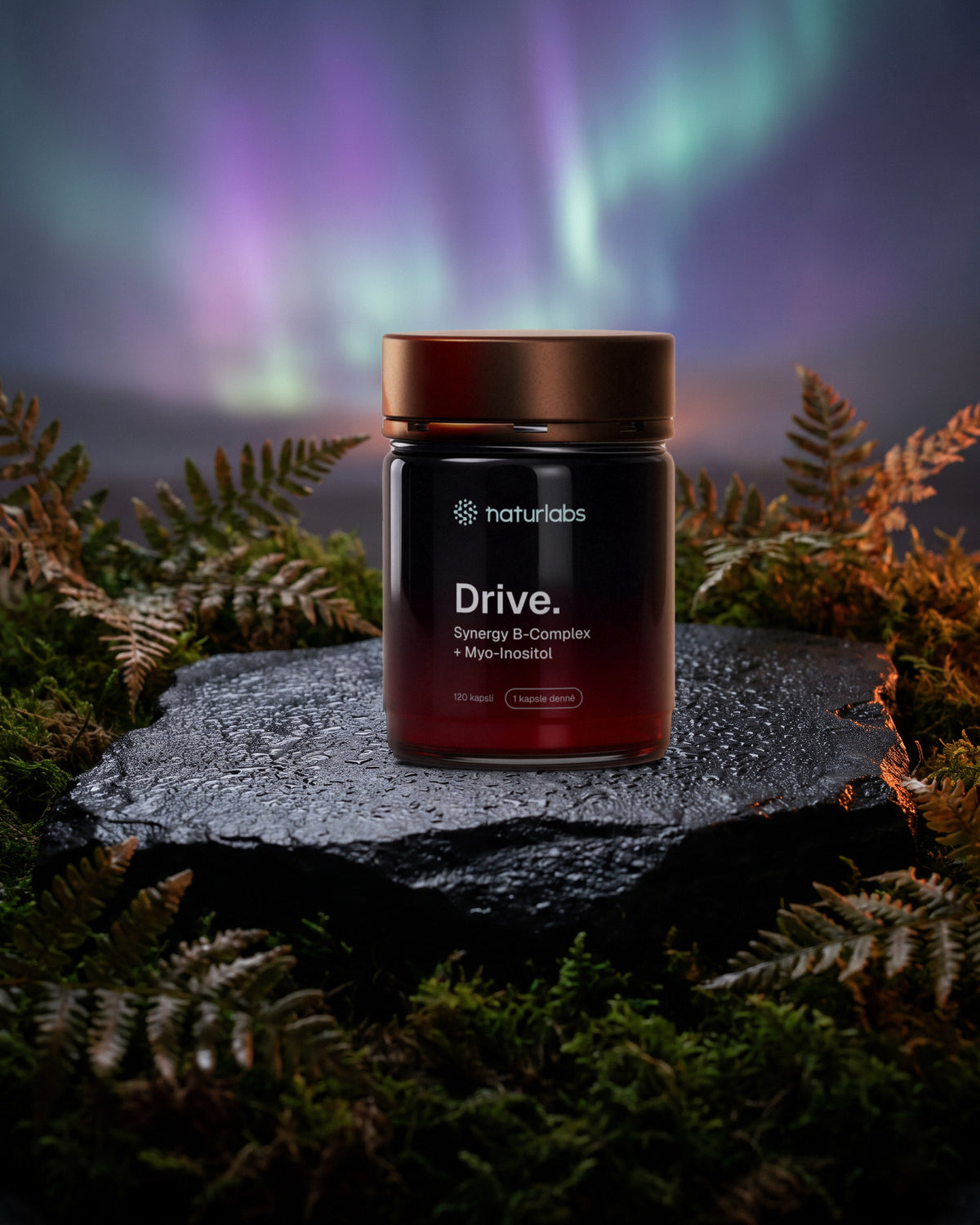 Drive. Energie a psychická činnost, návrh nového obalu