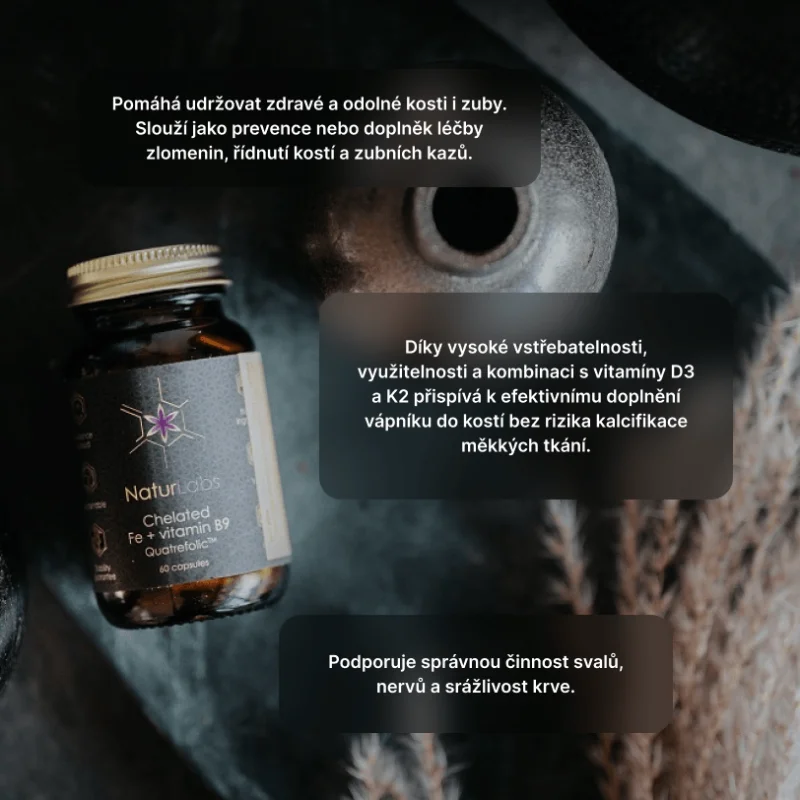 Chelátové železo + vitamín B9 NaturLabs, 60 kapslí