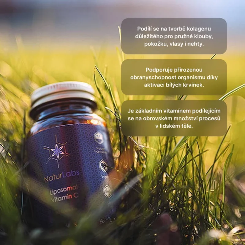 Liposomální Vitamín C NaturLabs