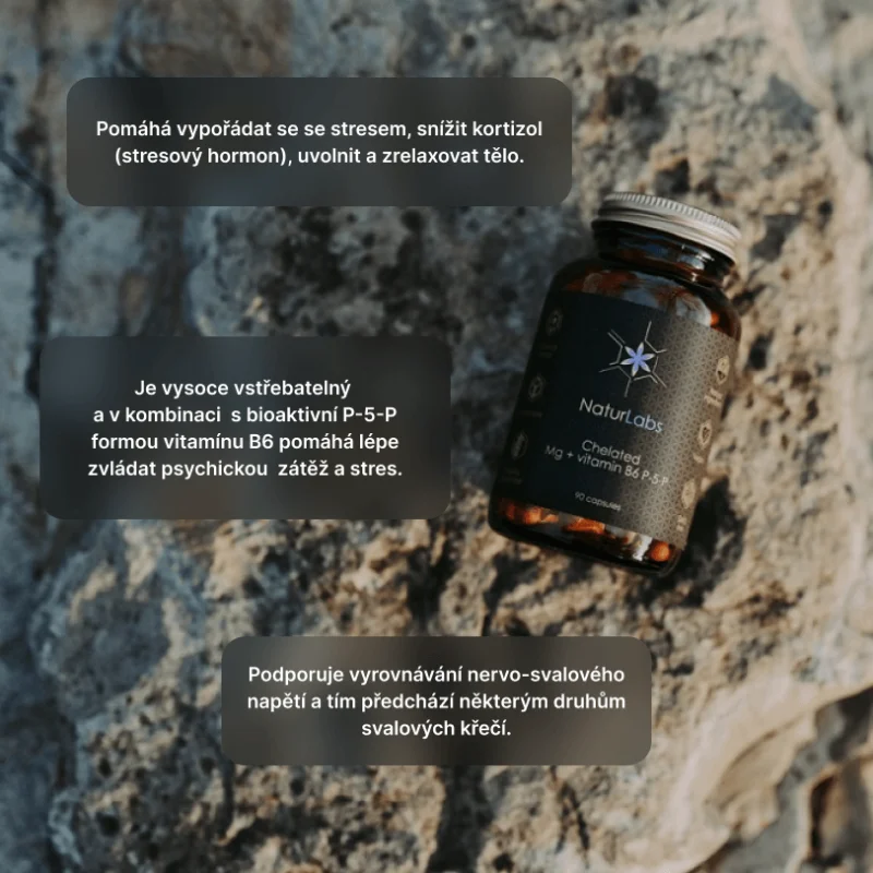Chelátový hořčík + vitamín B6 NaturLabs, 90 kapslí