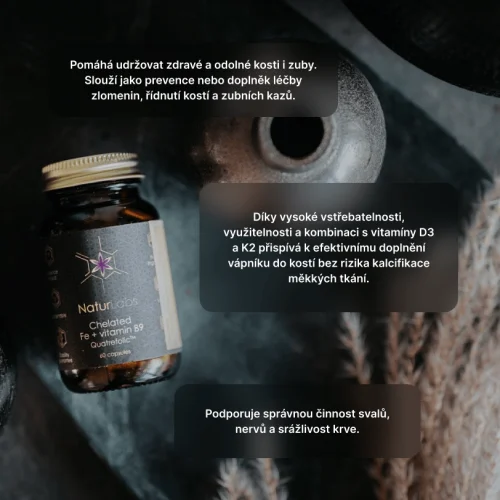 Chelátové železo + vitamín B9 NaturLabs, 60 kapslí