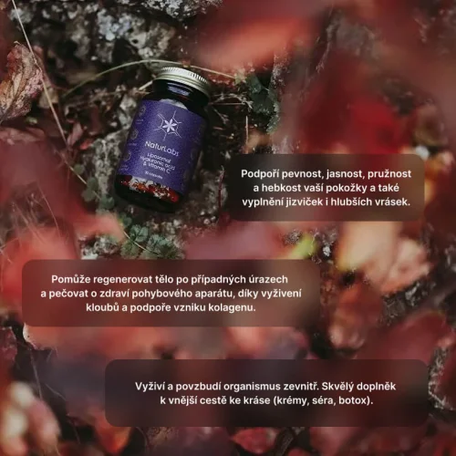 Liposomální Kyselina hyaluronová + vitamín C NaturLabs, 30 kapslí
