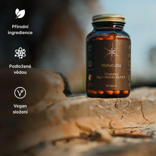 Chelátový hořčík + vitamín B6 NaturLabs, 90 kapslí